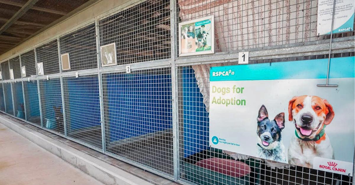 RSPCA Kingaroy facility, which was a prominent animal welfare organization in the South Burnett region.
